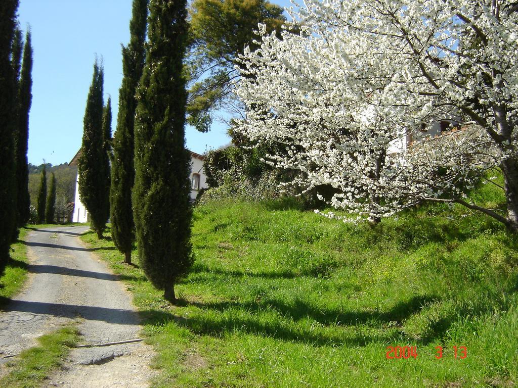 Podere"Sulle Soglie Del Bosco" Appartament And Rooms Πέσια Εξωτερικό φωτογραφία