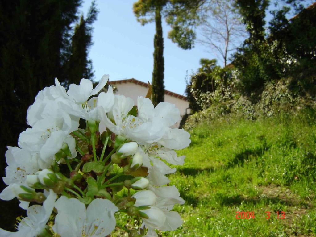 Podere"Sulle Soglie Del Bosco" Appartament And Rooms Πέσια Εξωτερικό φωτογραφία