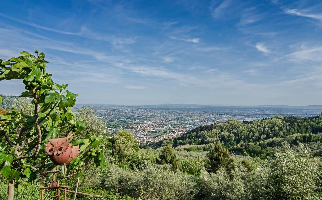 Podere"Sulle Soglie Del Bosco" Appartament And Rooms Πέσια Εξωτερικό φωτογραφία