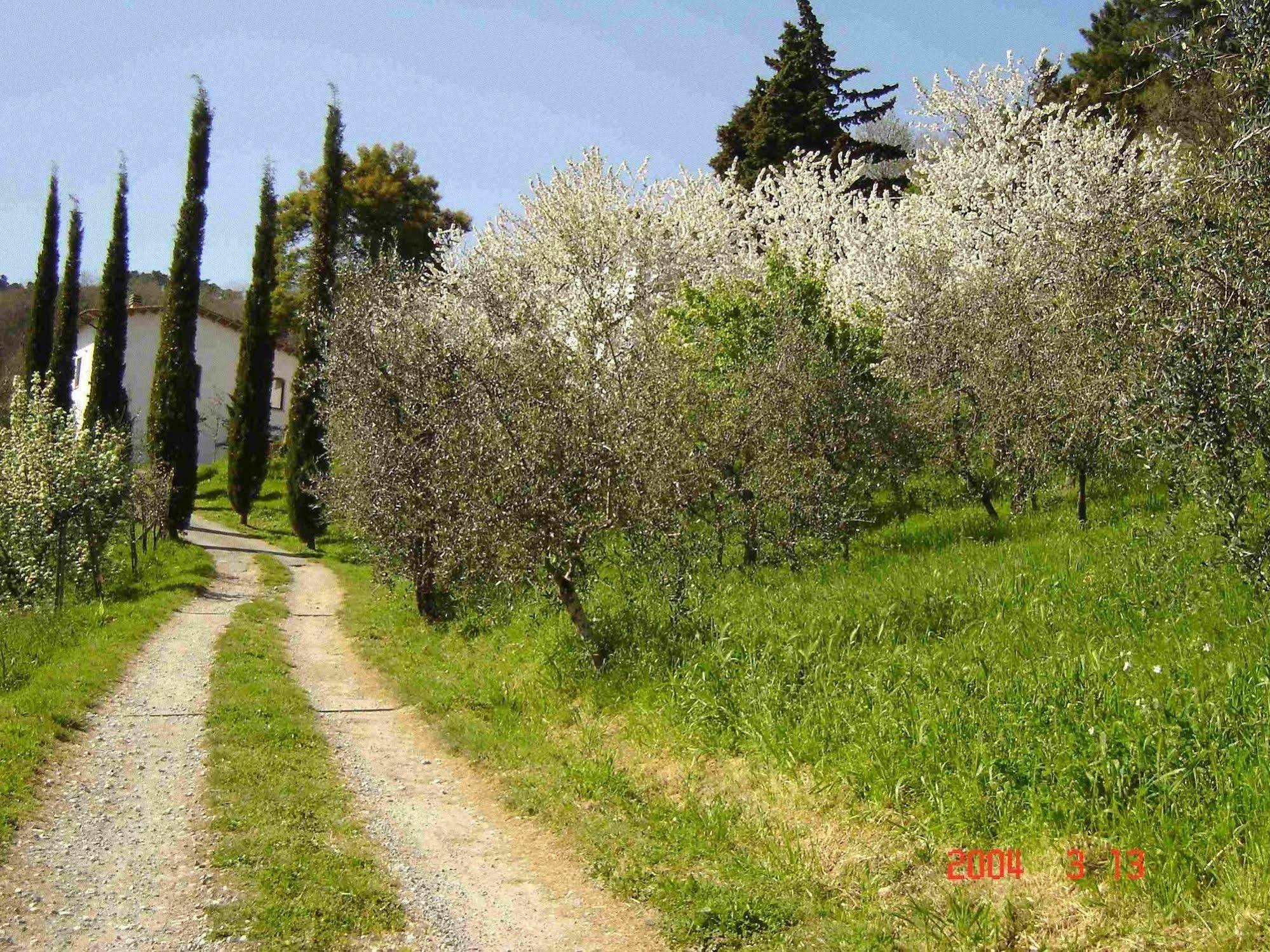 Podere"Sulle Soglie Del Bosco" Appartament And Rooms Πέσια Εξωτερικό φωτογραφία